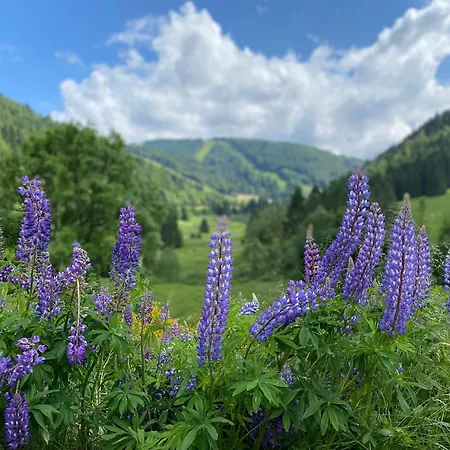 Renove Au Pied Des Pistes A - Fr-1-589-395 Prázdninový dům La Bresse