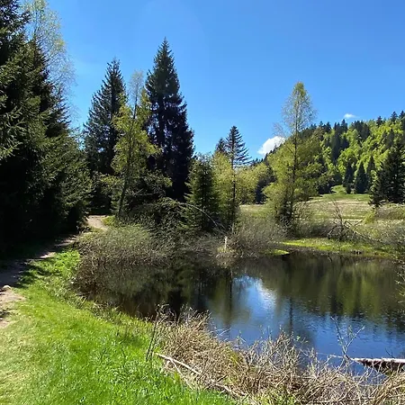 Prázdninový dům Renove Au Pied Des Pistes A - Fr-1-589-395 *
